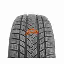 GRIPMAX PRO-WI 205/40 R17 84 V XL